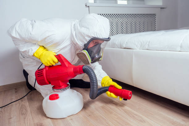 Best Mosquito Control Services  in Hamshire, TX