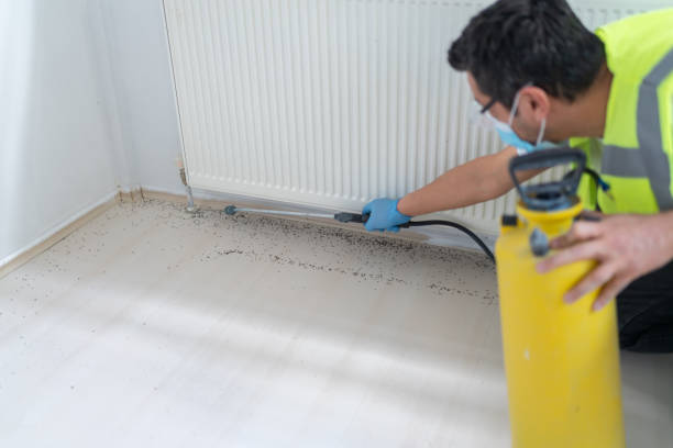 Best Residential Pest Control  in Hamshire, TX